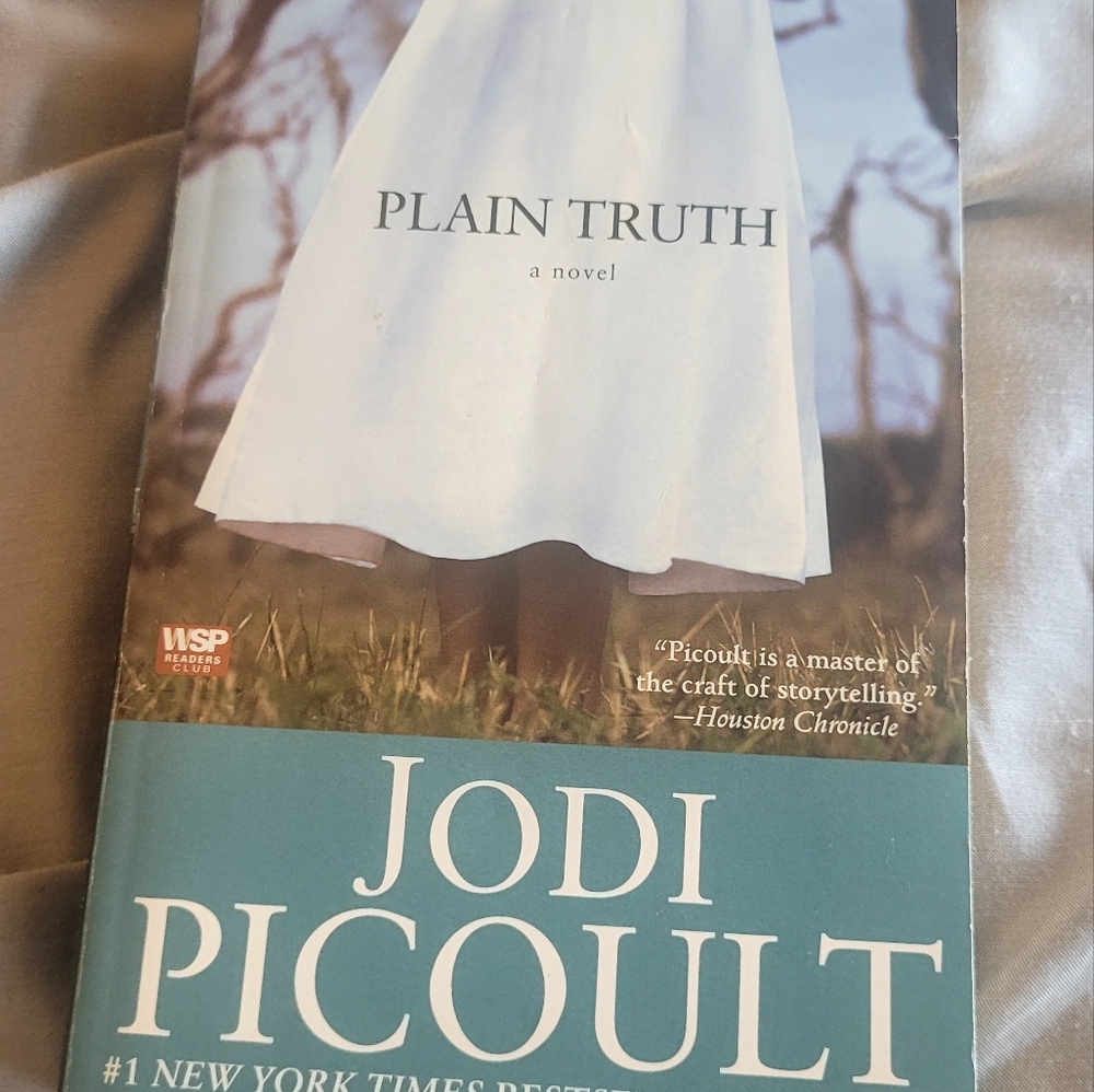 'Plain Truth' Novel - Teal and White Cover